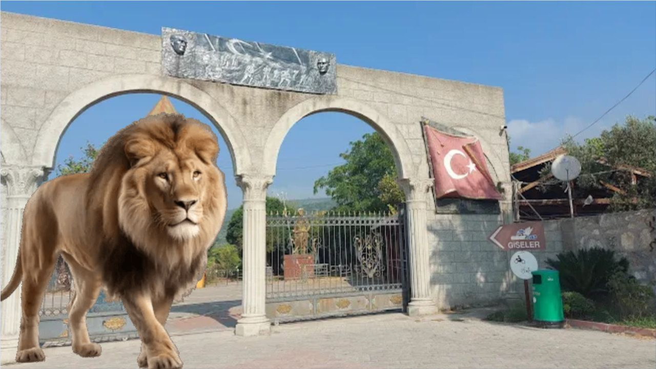 Balıkesir’de Hayvanat Bahçesi Var mı? Nerede, Nasıl Gidilir?