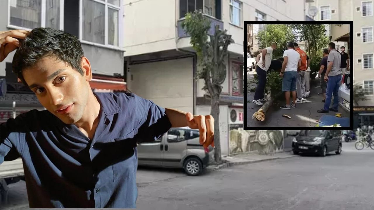 Genç Oyuncunun Üzerine Ağaç Düştü: Yaşam Mücadelesi Veriyor