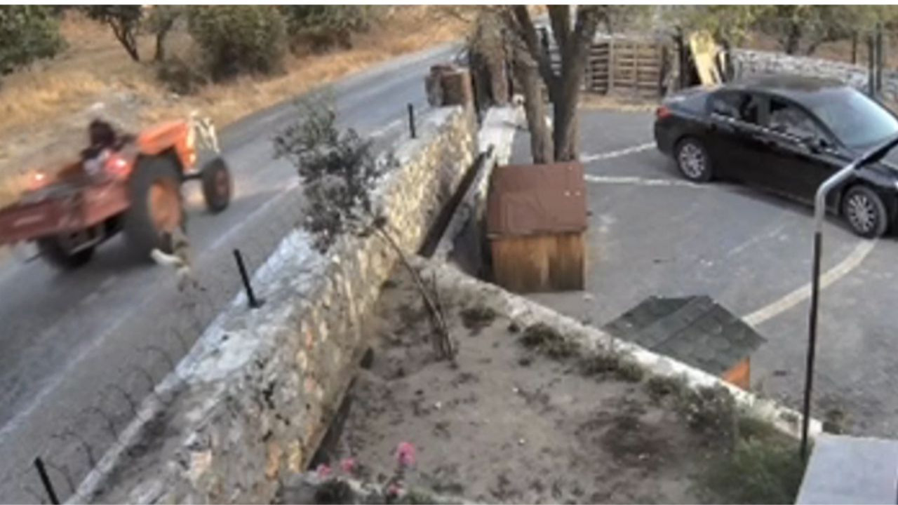 Balıkesir’de Traktör Sürücüsü köpeği ezdi