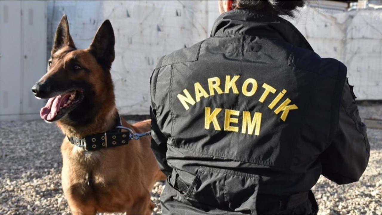 Balıkesir’de Narkotik 4 İlçede Arama Yaptı: Bakın Kaç Kişi Yakalandı