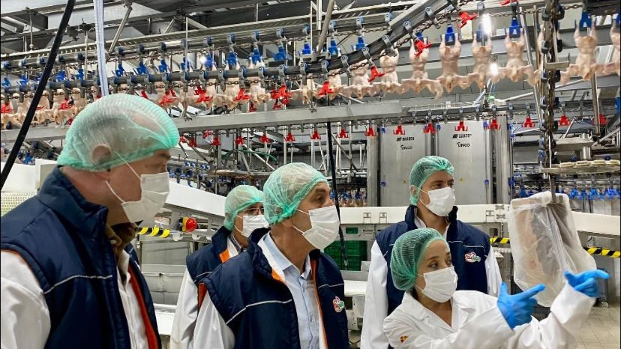 Balıkesir kanatlı hayvan varlığında Türkiye ikincisi oldu