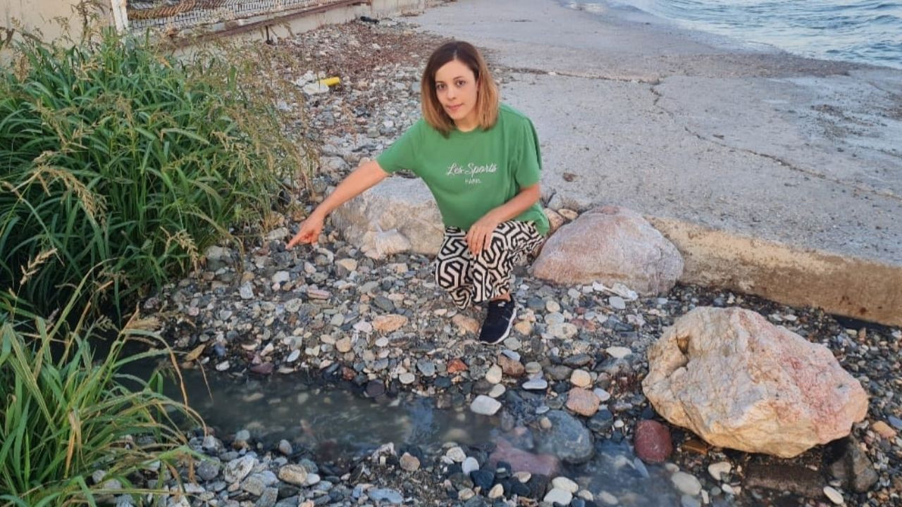 Altınoluk’ta Çevre Katliamı!