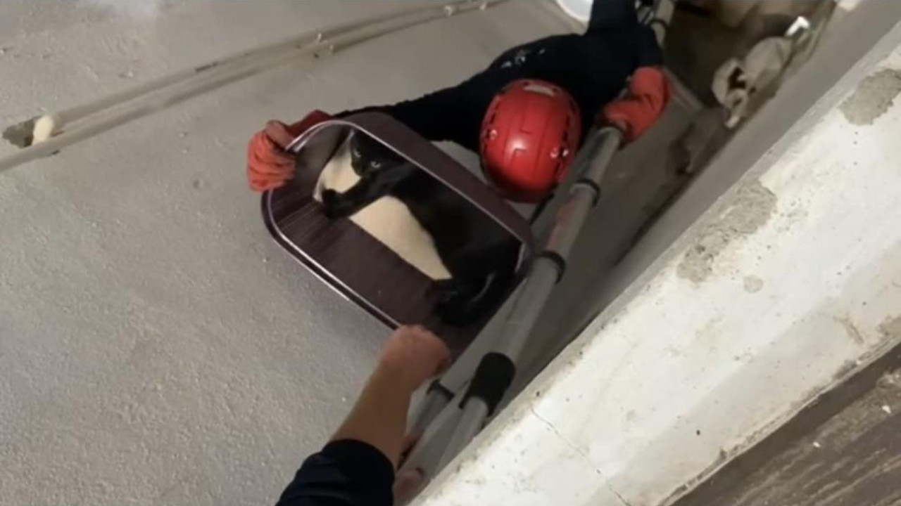 Balıkesir’de 5. Kattan Düşen Kedi Kurtarıldı