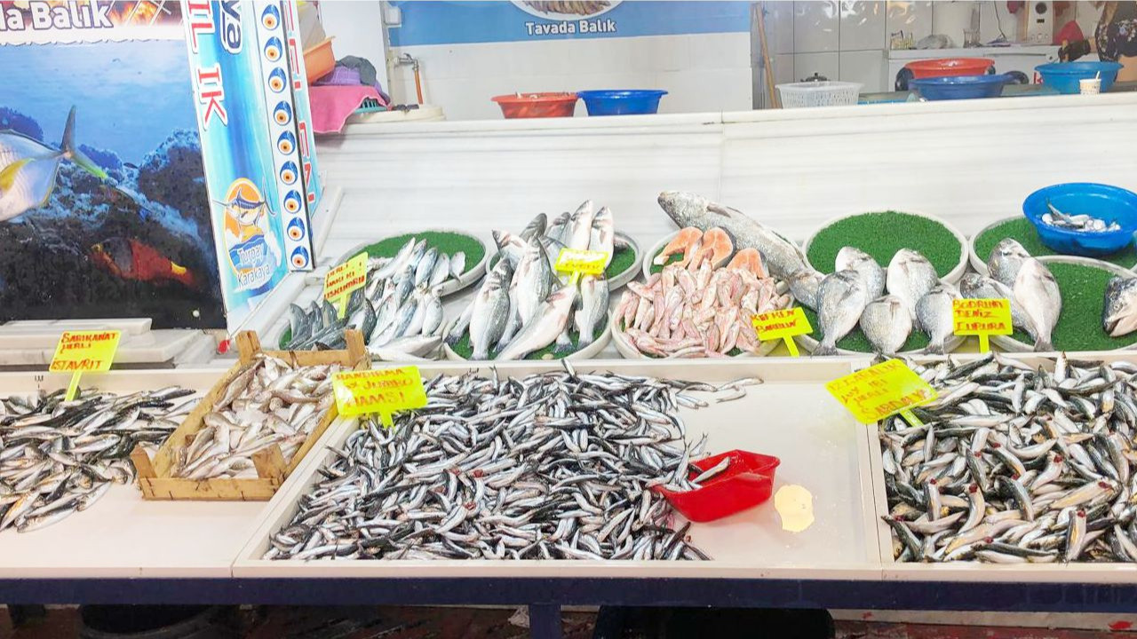 Balıkesir'de Sofralara Omega 3 Geri Döndü