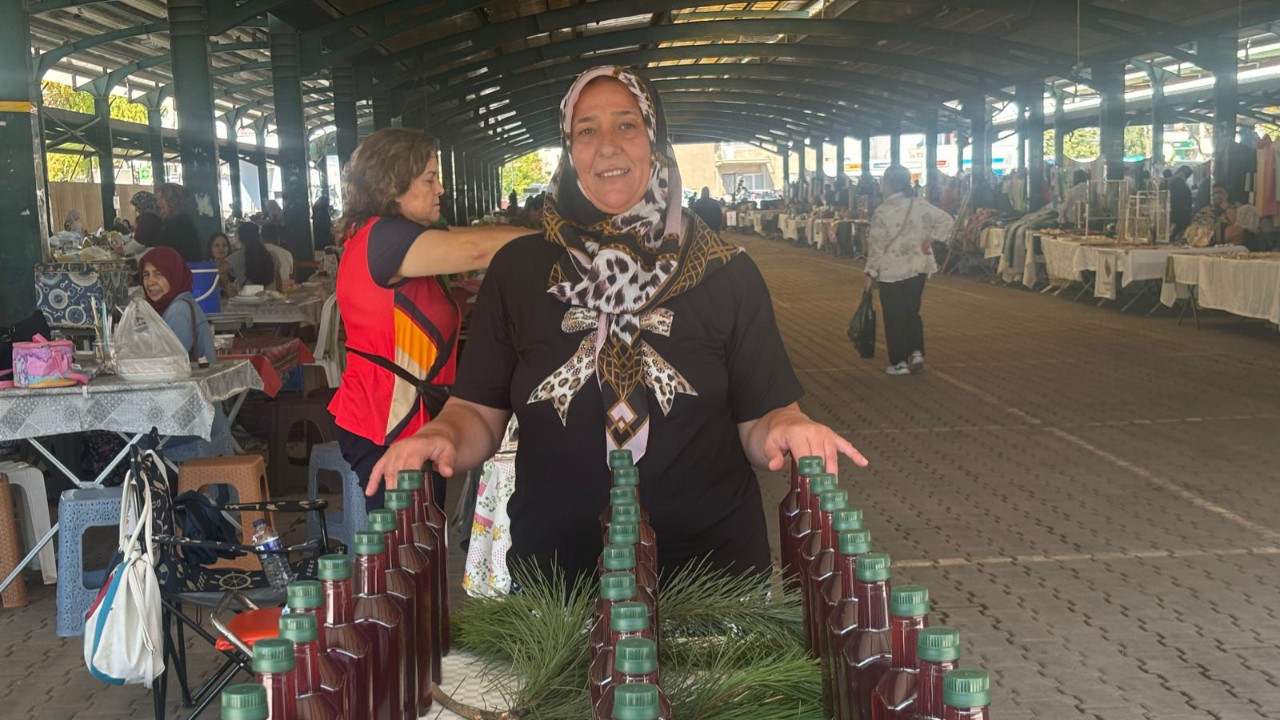 Doktorlar Bile Alıyor! Çam Kozalağı Türkiye’nin Gözdesi Oldu