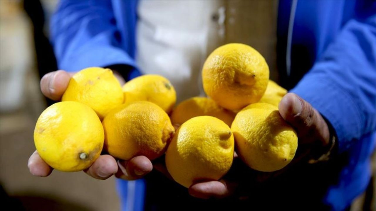 Limon ve Elma İhracatı Kayda Bağlandı: Fiyatlar Düşer Mi?