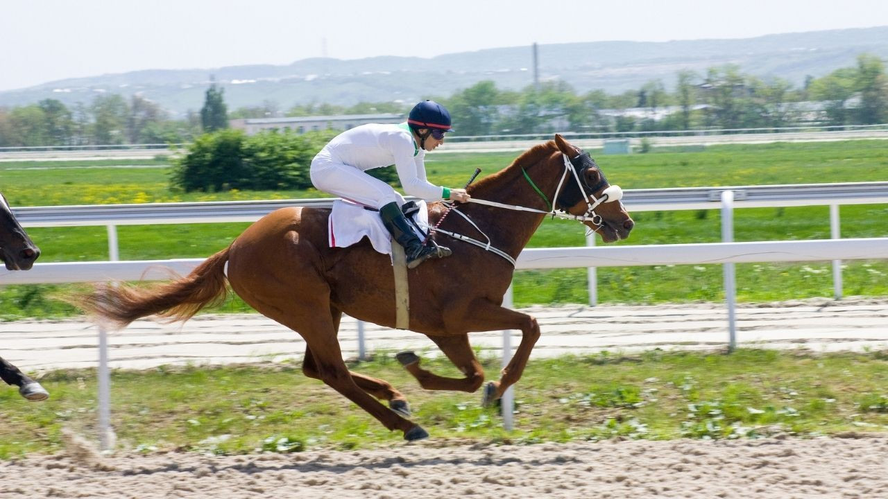 Ayvalık’ta Bir İlk! Rahvan At Yarışları Başlıyor