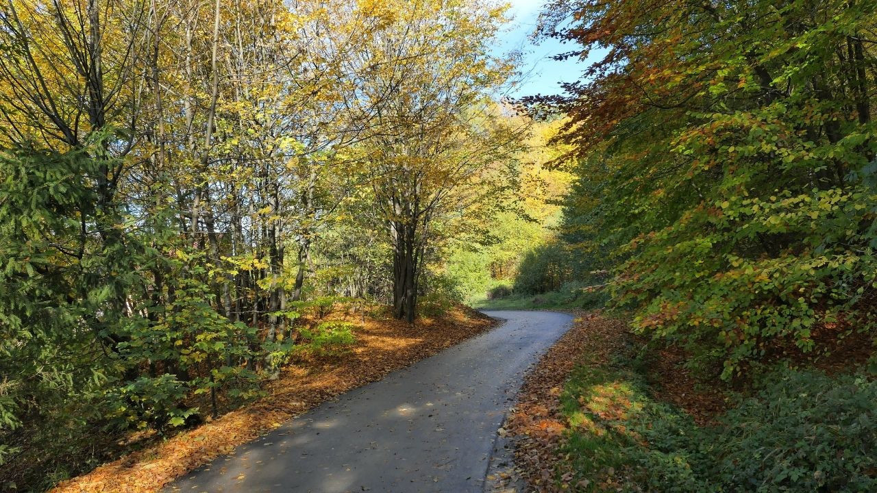Kazdağları'nda Sonbahar Aktiviteleri