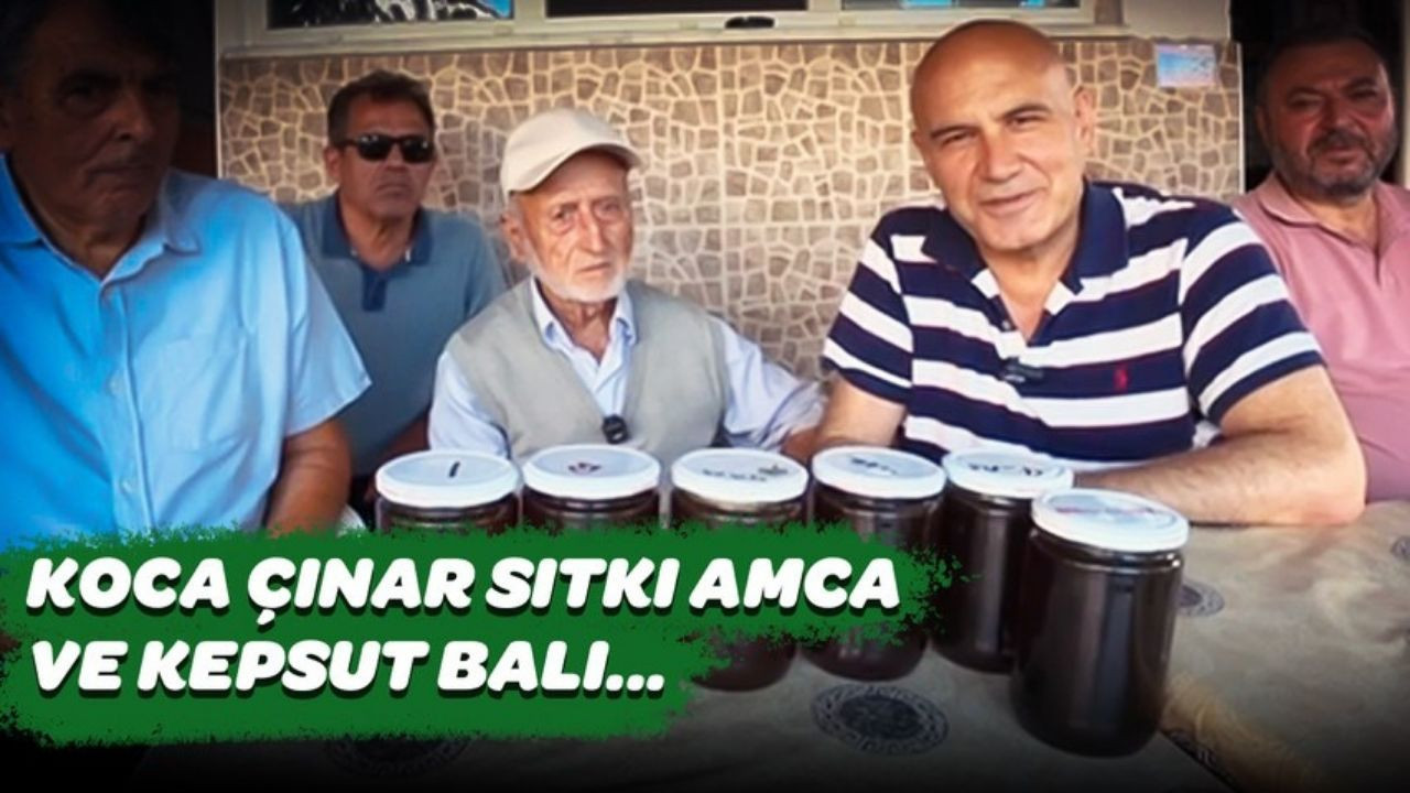 Balıkesir’de 90 yaşındaki Sıtkı amca, yarım asırdır arıcılık yapıyor