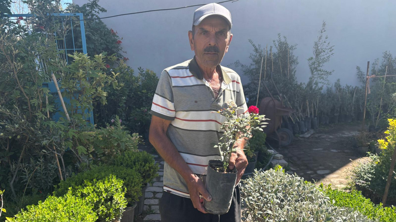 Balıkesir’de Fidancılığa İlgi Artıyor: “Fidanın Sırrı: Zeytin Her Yerde Olmaz!”