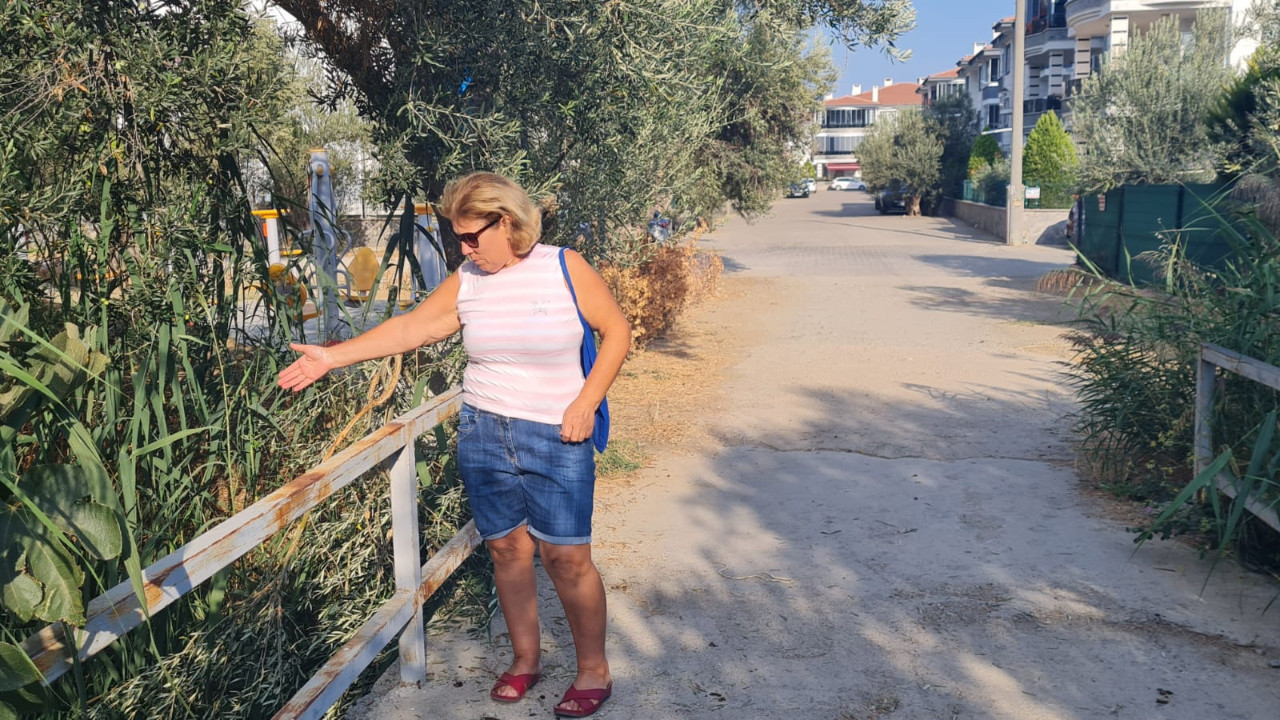 Denizler Kirletiliyor, Halk İsyanda!