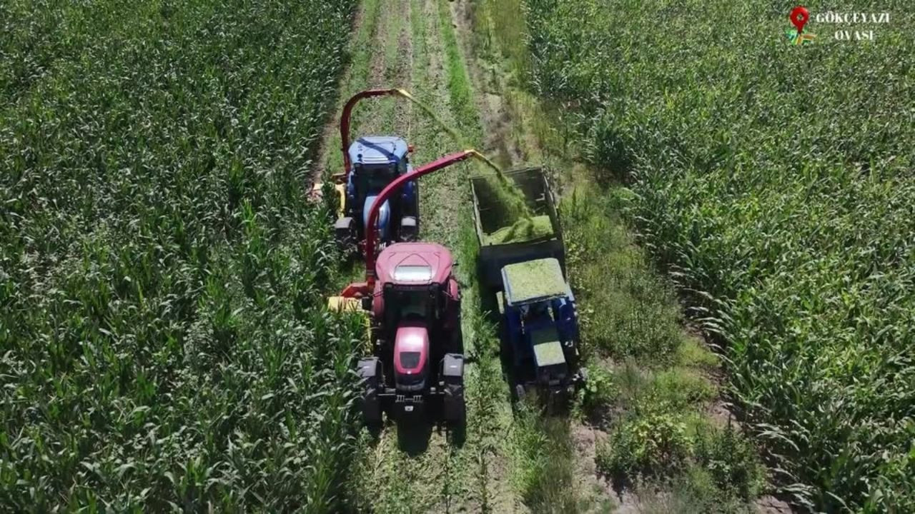 Balıkesir'de Ardıçtepe Barajı Çiftçiyi Sevindirdi
