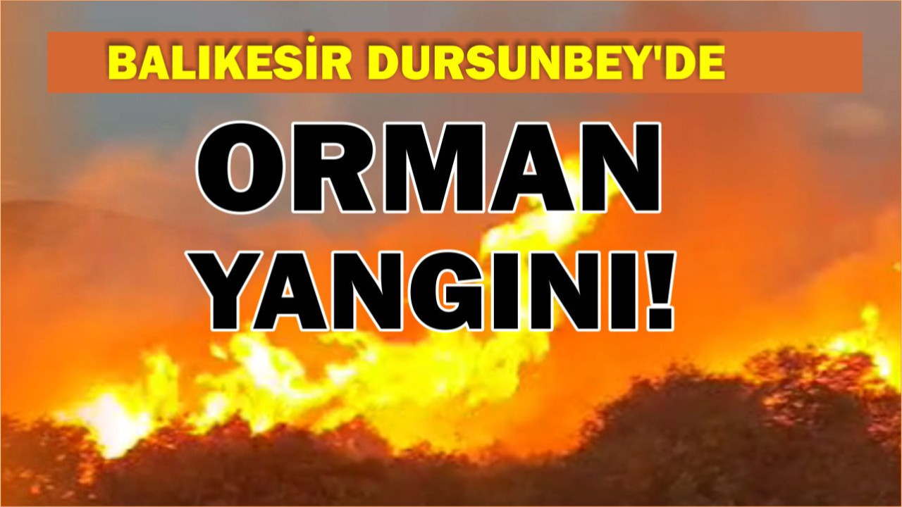 Dursunbey’de Ormanlık Alan Alevlere Teslim