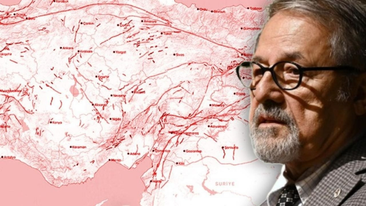 Prof. Görür: ''Balıkesir'de başlangıçta normaldi ama aşırı sayıda olunca dikkat''
