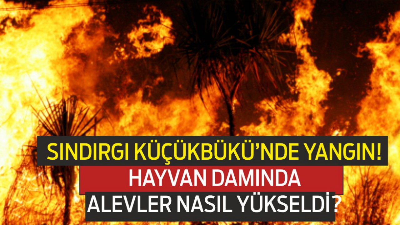 Sındırgı Küçükbükü Mahallesi’nde Hayvan Damında Çıkan Yangına Ekipler Müdahale Etti