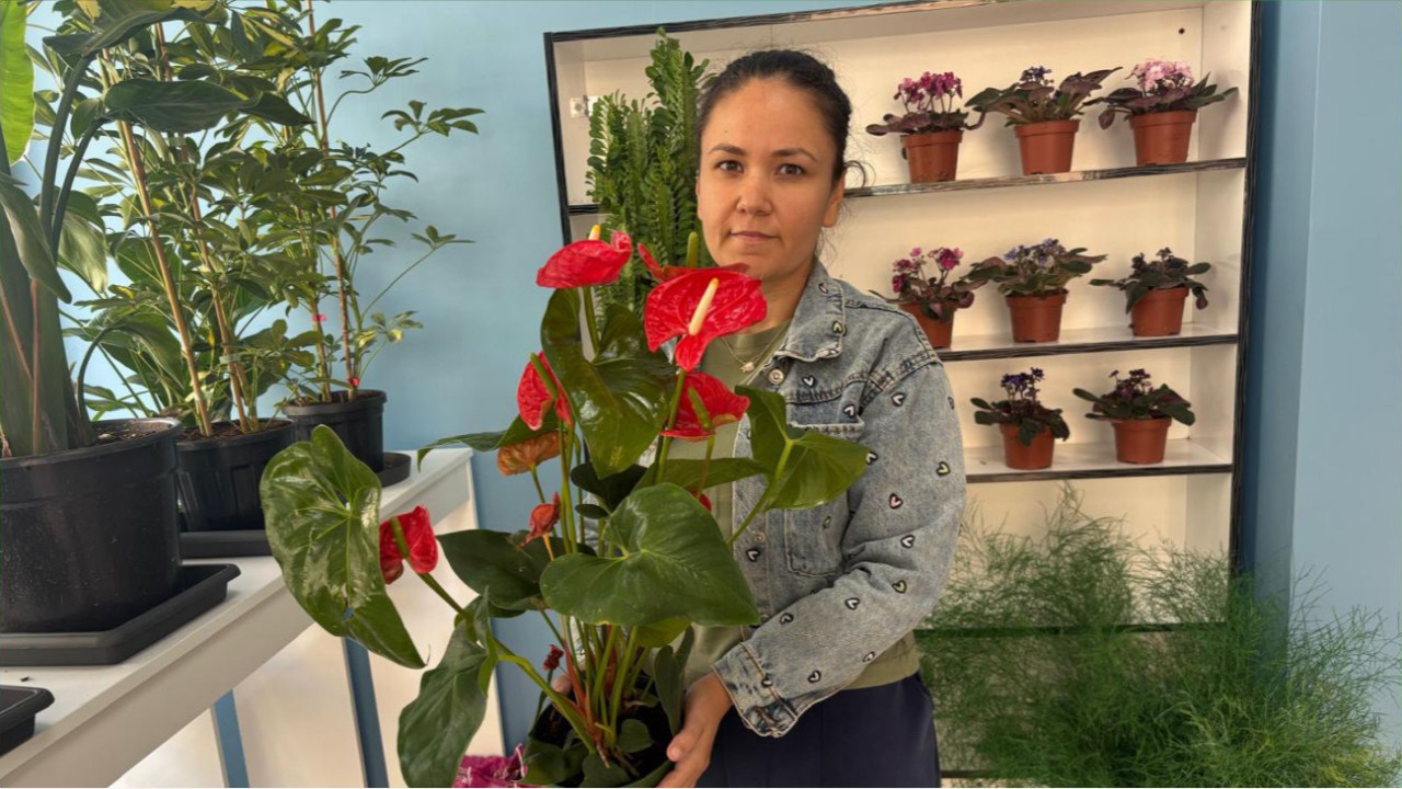 Balıkesir'de Sağlık İçin En Çok Areka Tercih Ediliyor
