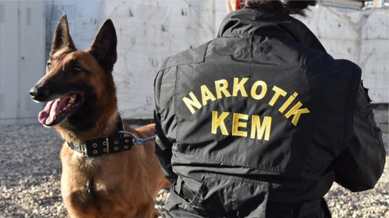 Balıkesir’de Polis Beyaz Torbaları Açtı: Şaşırtan Yakalama