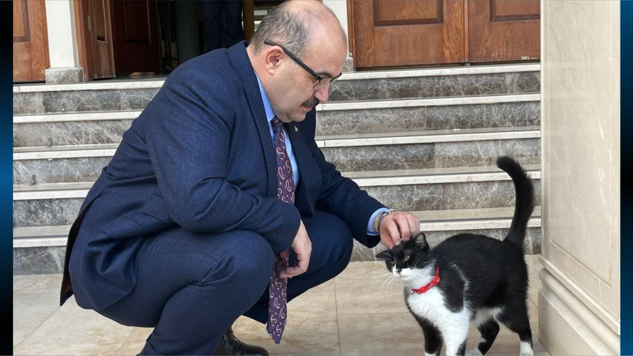 Vali Ustaoğlu Hayvan Haklarını Unutmadı