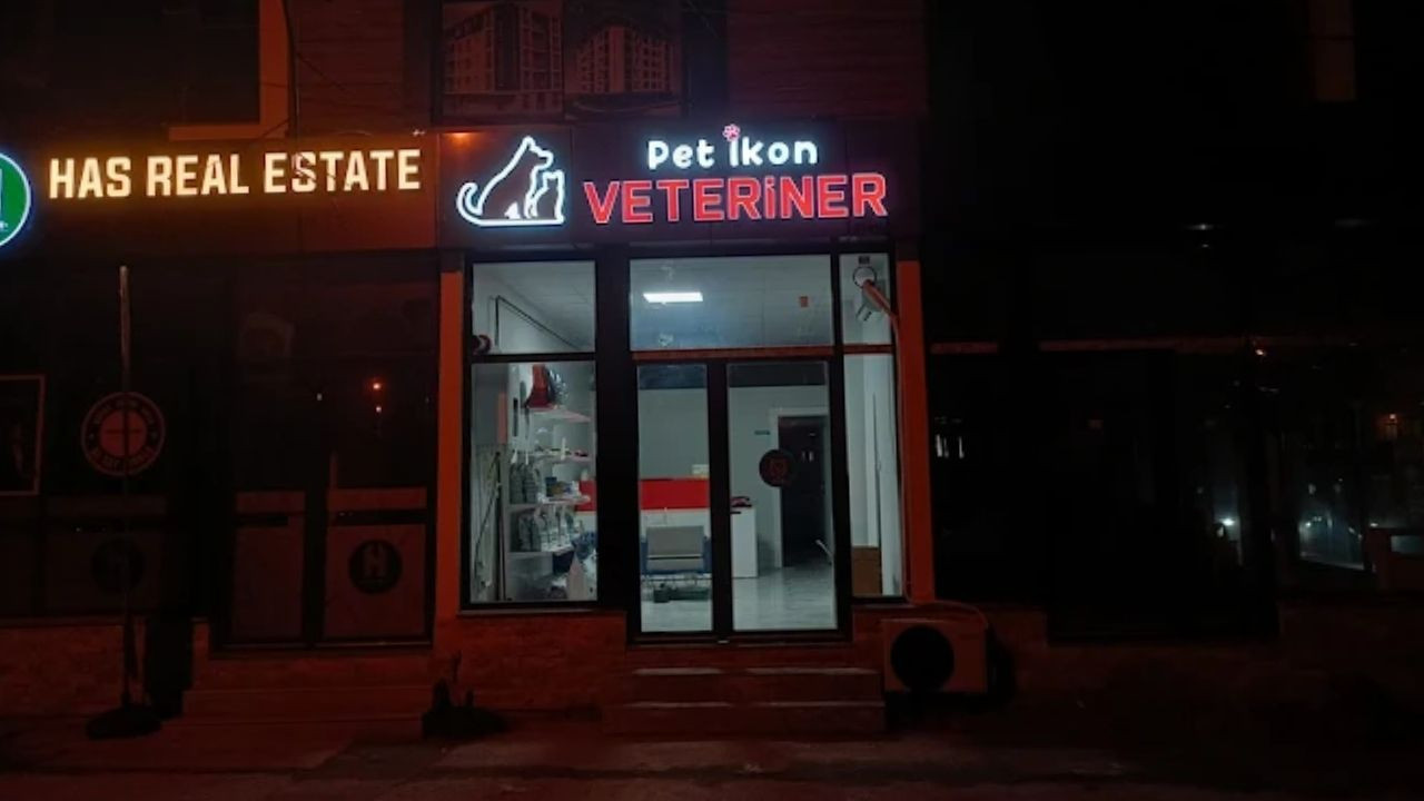 16 Ekim 2025: Balıkesir'de Nöbetçi Veteriner Hizmeti