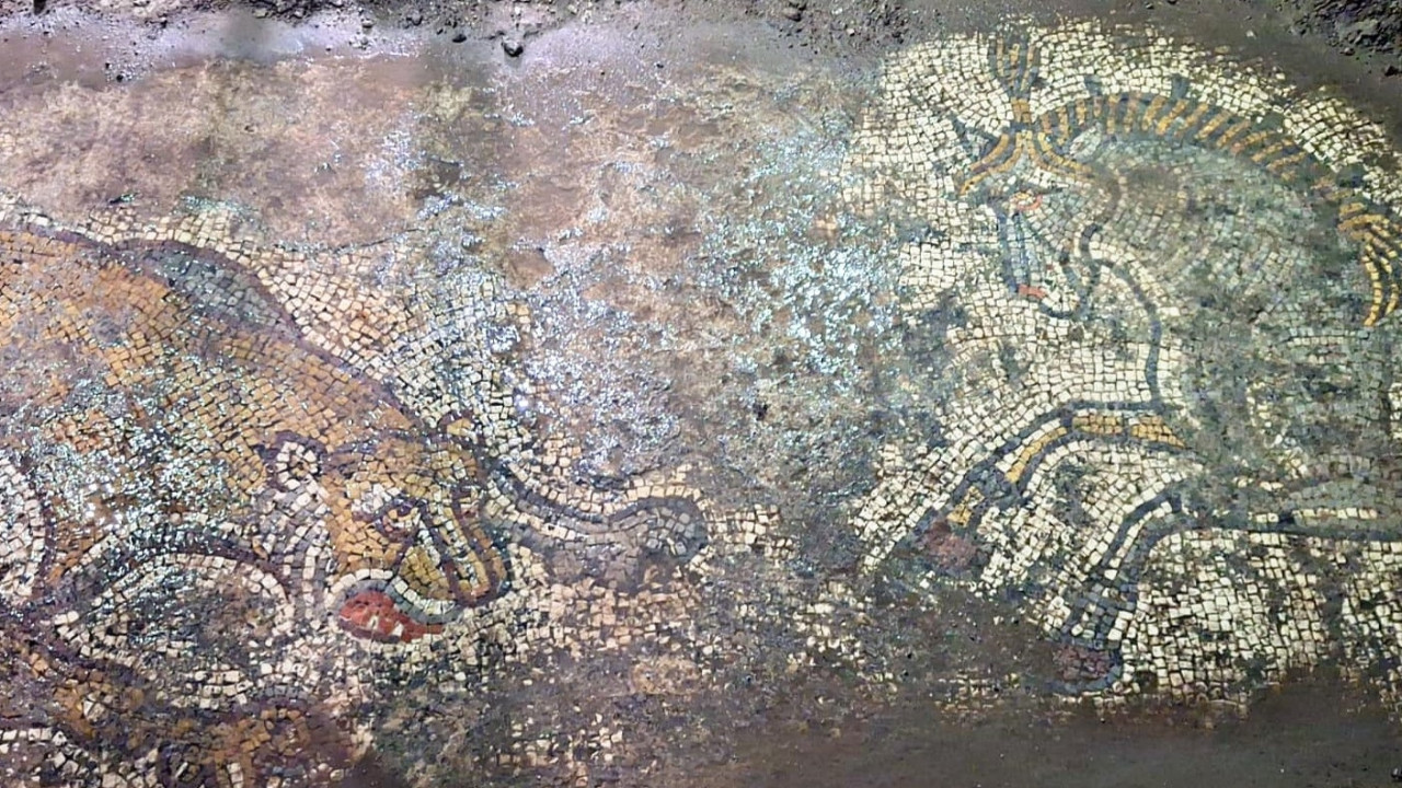 Mardin'de tarihi eser operasyonunda yaklaşık 1500 yıllık mozaik bulundu