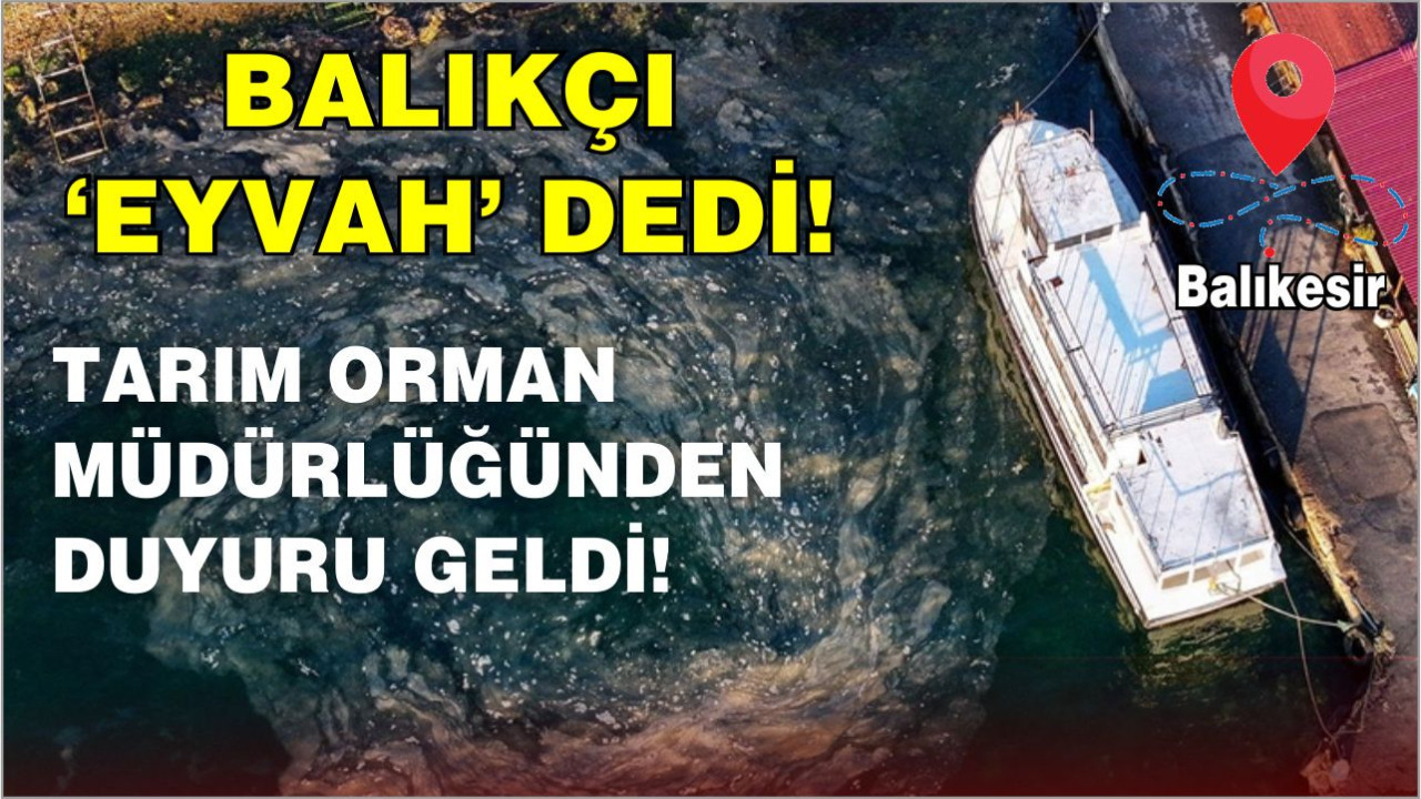 Balıkesir'de Müsilaj Görüldü! Müdürlük Harekete Geçti