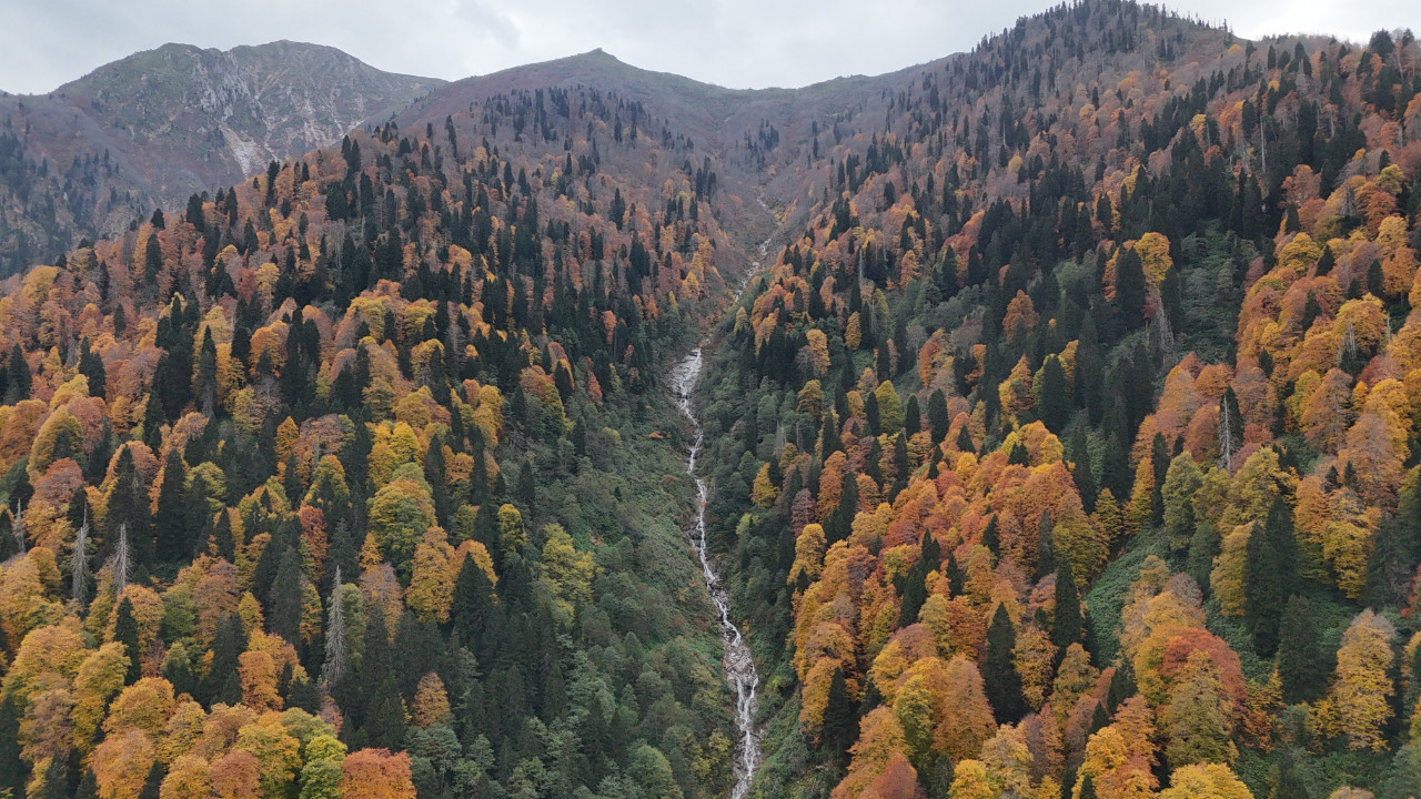 Rize'de Ayder Yaylası'nda sonbahar renkleri