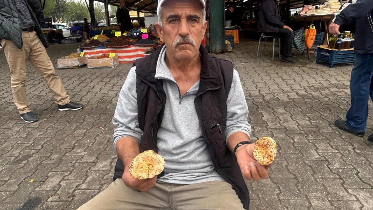 Dursunbey’den Doğanın Şifası: Melki Mantarı Altın Gibi Değerleniyor