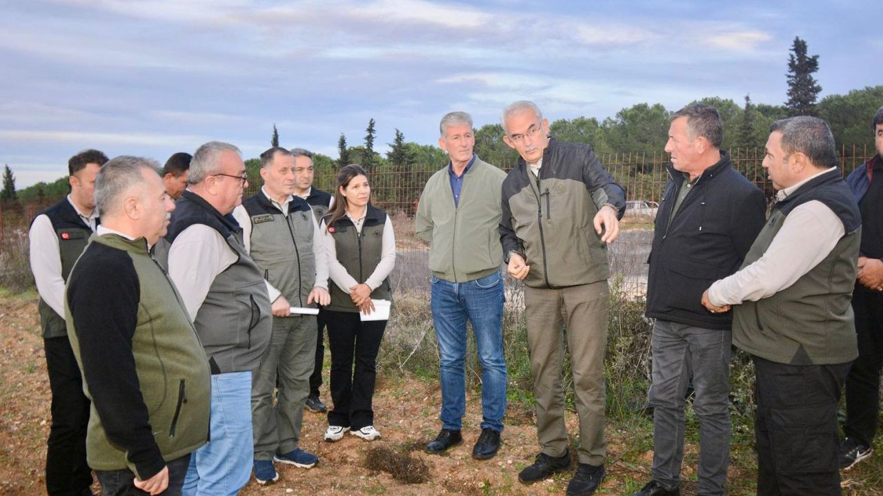 Gönen’de Ceviz Ağaçlandırma Sahasında İnceleme