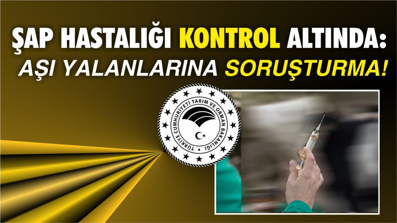 Şap hastalığı kontrol altında: Aşı yalanlarına soruşturma!