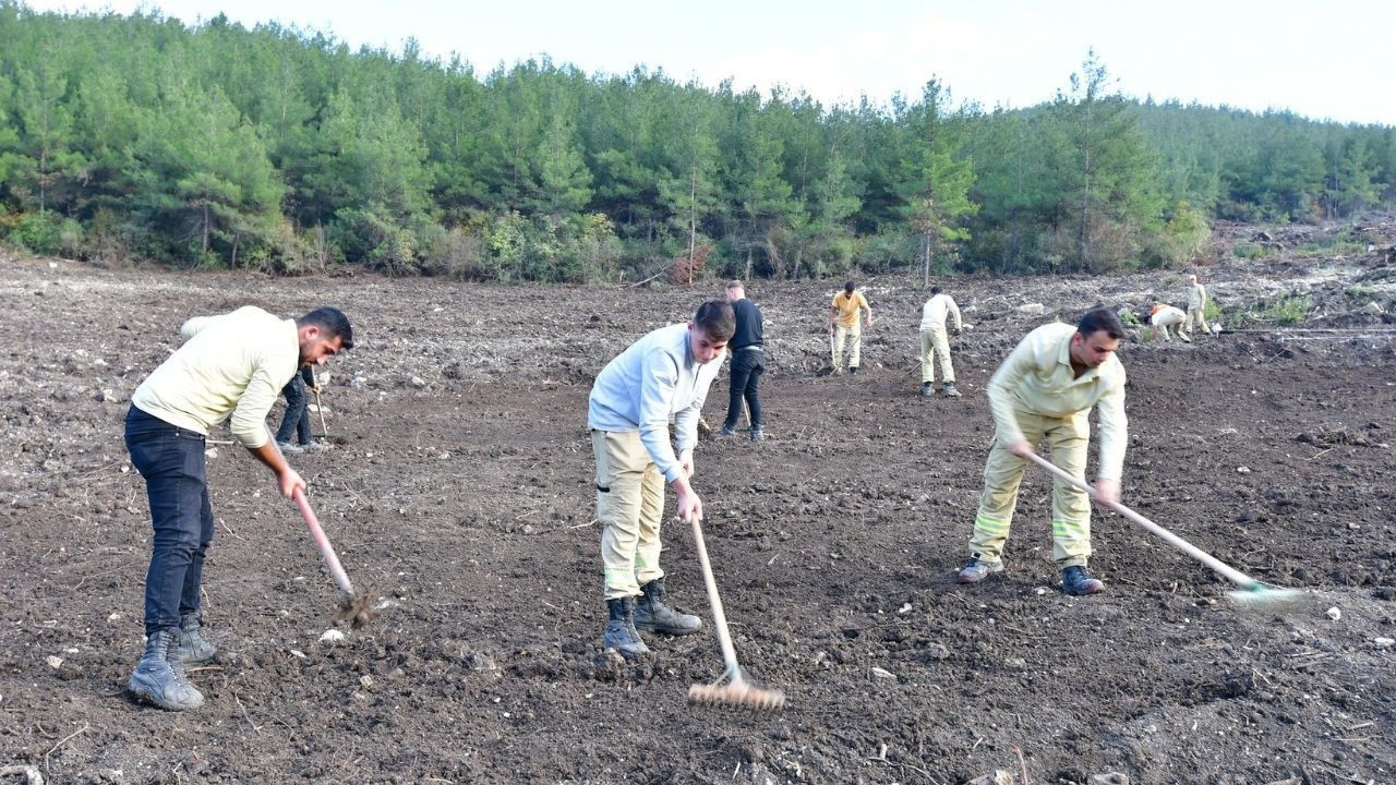 Balıkesir'de 11.11 Milli Ağaçlandırma Günü hazırlıkları sürüyor