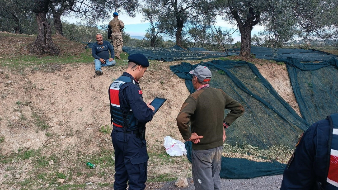 Edremit'te zeytin hırsızlığına karşı komandolar sahada
