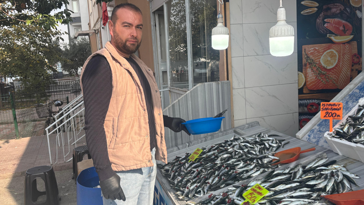 Balıkesir'de Kasımda Sardalya, Aralıkta Hamsi Bol