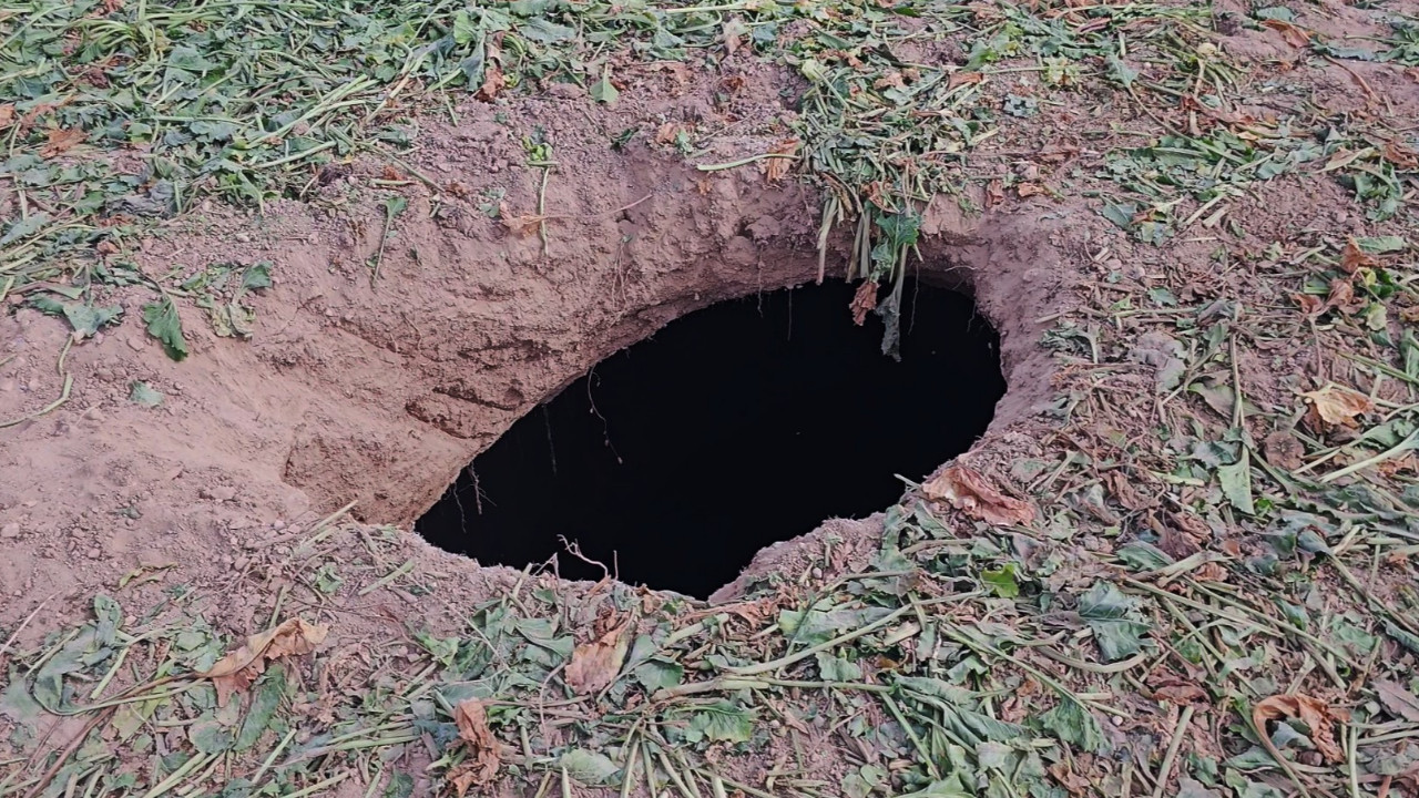 Pancar tarlasında Obruk Oluştu: Görenler Şaşkın!