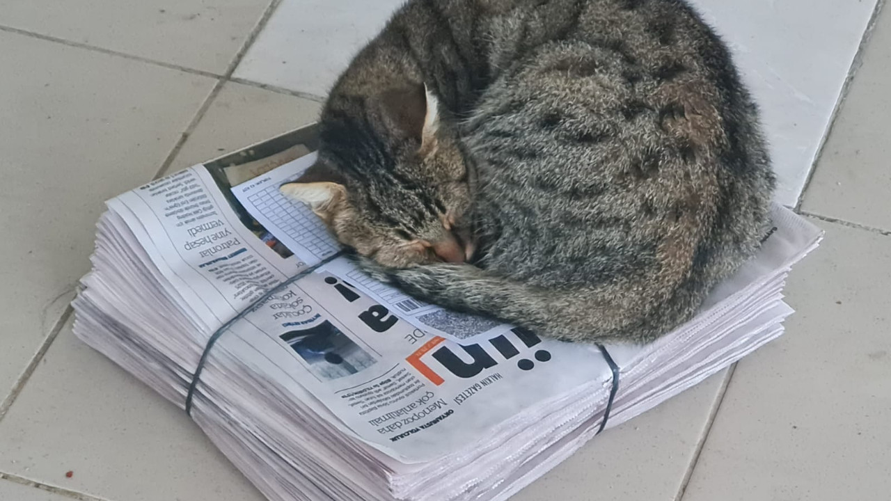 Edremit'te Soğuk Günün, En Sıcak Kareleri