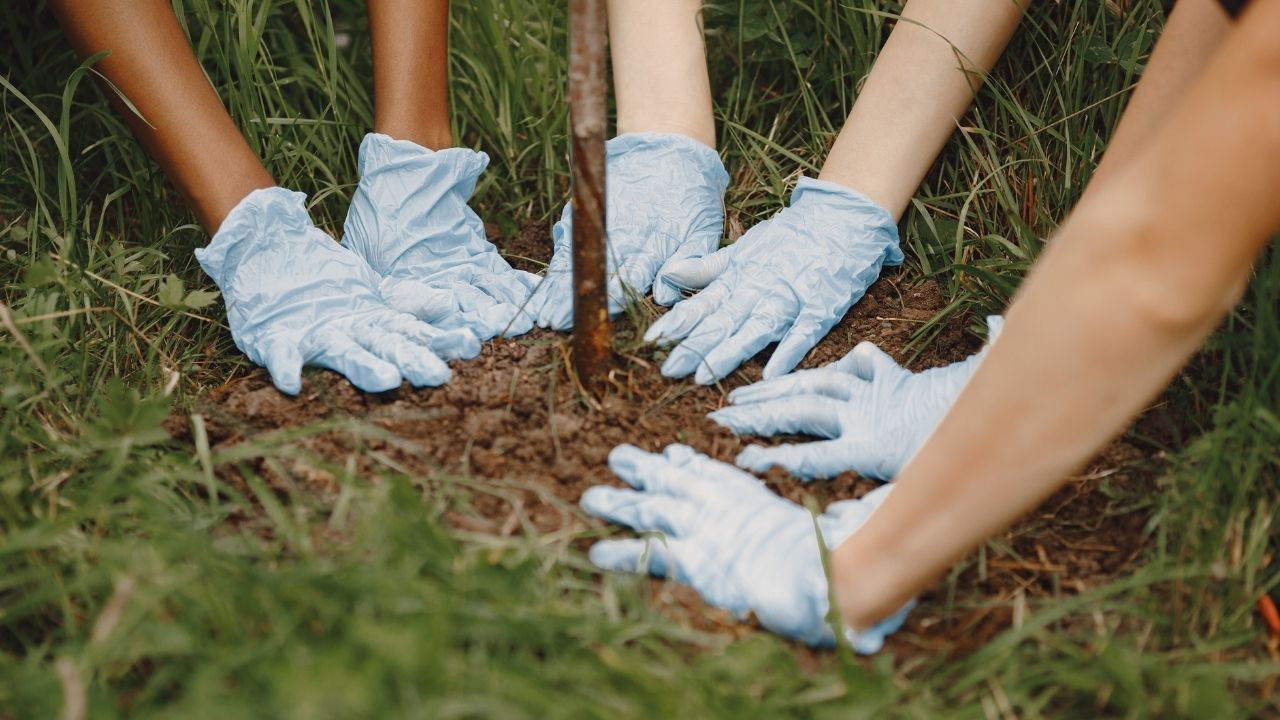 Balıkesir’de Fidan Dikim Etkinlikleri Ertelendi