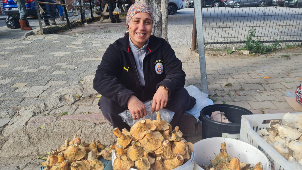 Edremit’te Melki Bereketi Başladı