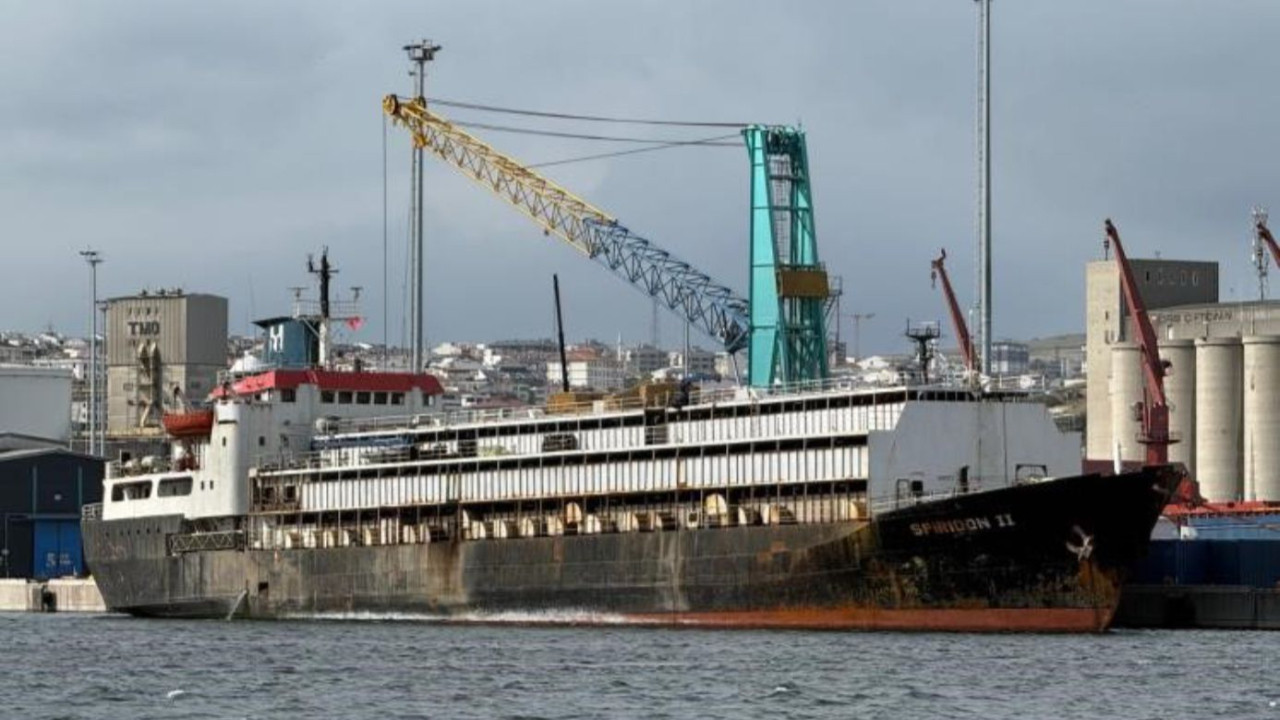 Bandırma'daki hayvan ithalatı tartışması yargıya taşındı