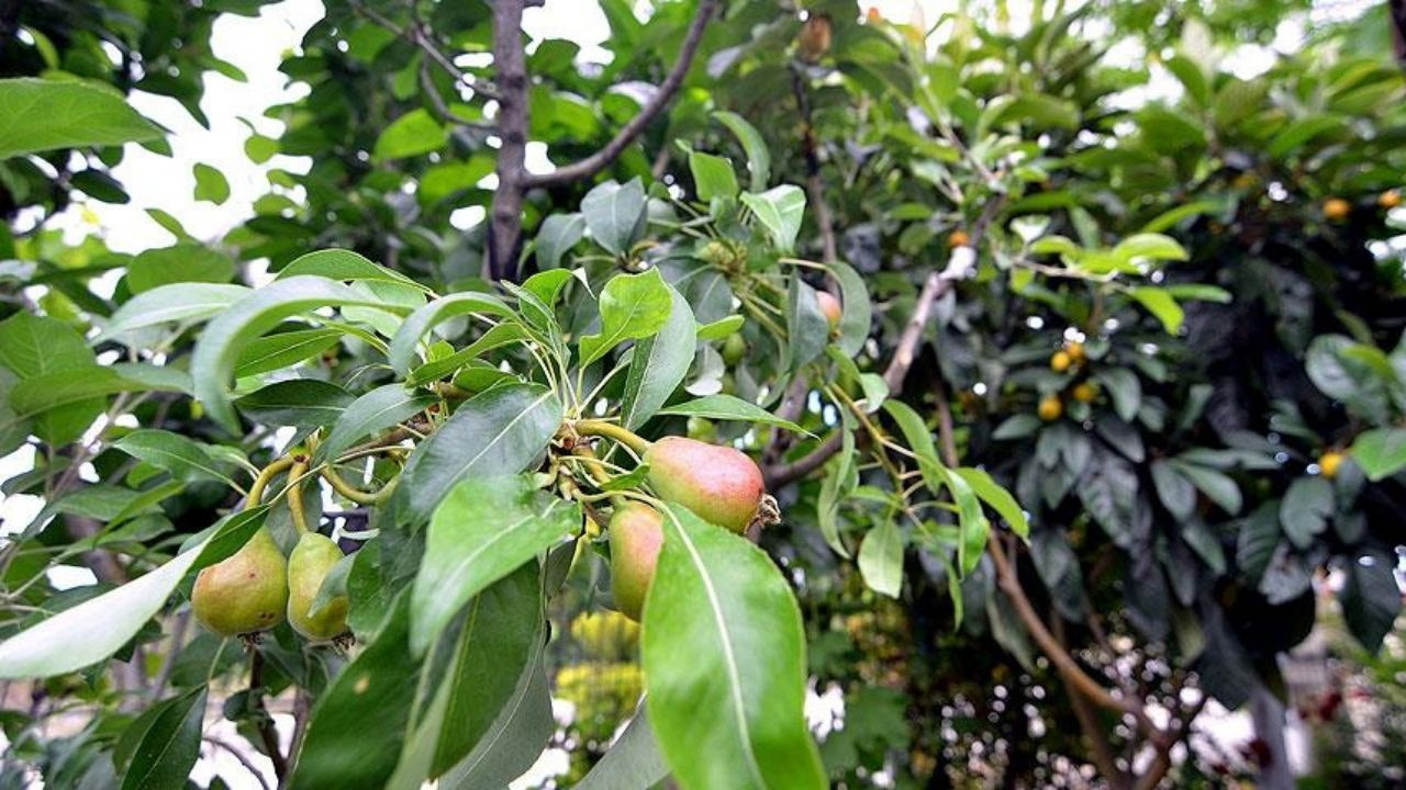 “Karşılaşmanın Meyveleri” İstanbul’da Ziyarete Açılıyor