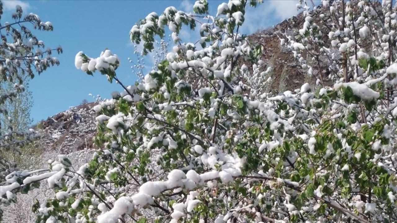 Balıkesir'de Ekim Ayında En Düşük Sıcaklık 2,4 Derece Oldu: Marmara Bölgesi'nde Rekor