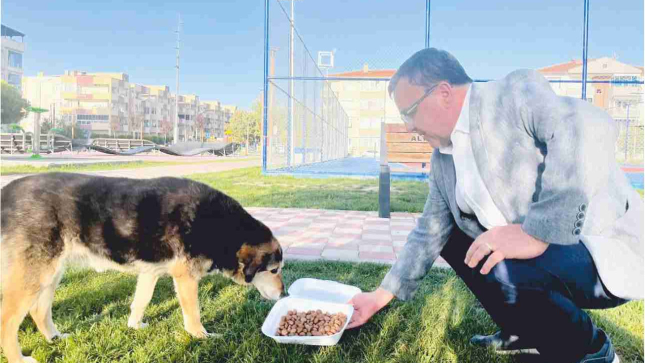 Altıeylül’de Hayvan Bakımevi Açılıyor