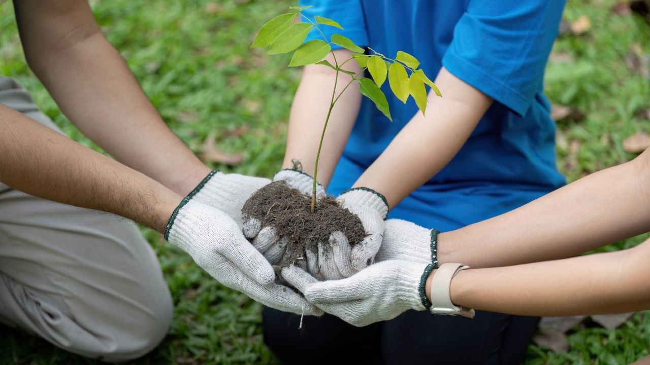 Balıkesir’de Fidan Dikim Etkinliği 18 Kasım’da Yapılacak