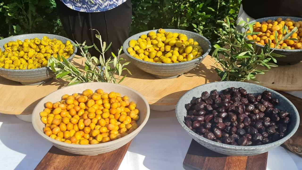 Edremit’te Coğrafi İşaret Süreci Başladı