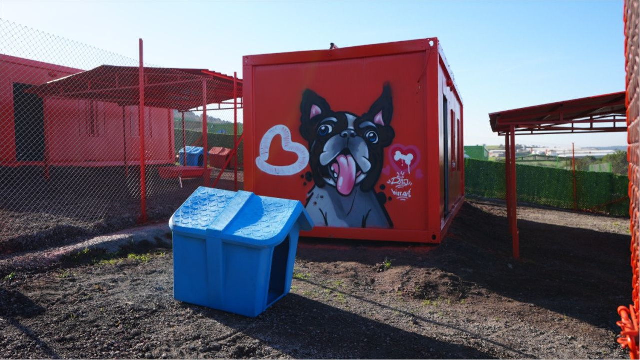 Balıkesir’de Türkiye’de İlk: Can Dost Doğal Yaşam Alanı Açılıyor