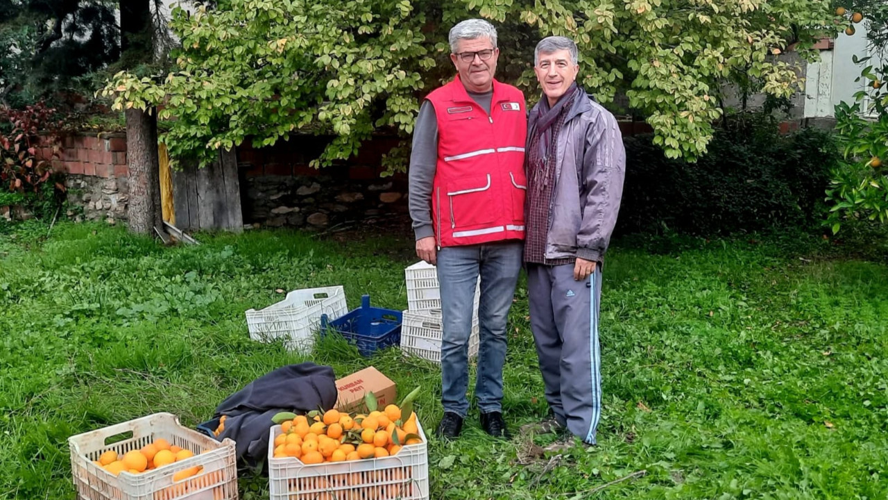 Edremit'te Vatandaş Bahçesindeki Meyveleri Kızılay'a Bağışladı