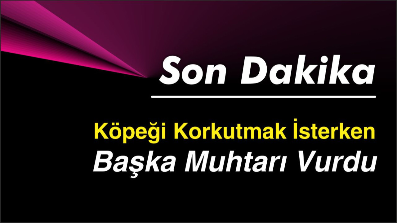 Köpeği Korkutmak İsterken Başka Muhtarı Vurdu