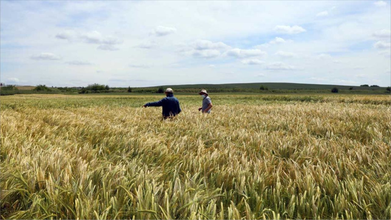 Balıkesir’de Son 10 Yılın En Yağışlı Ay Raporu