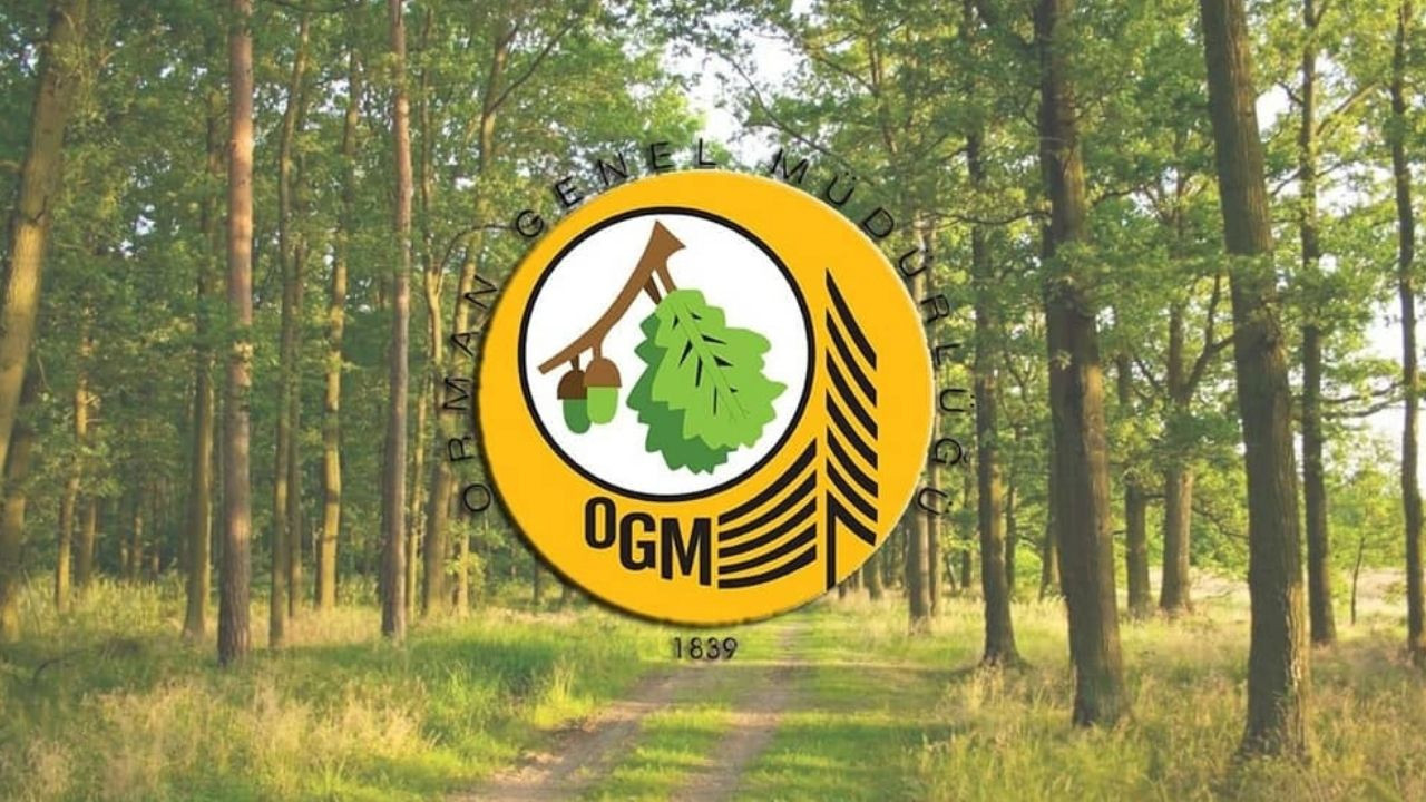 496 OGM Personel Alımı 2025 Başvuruları Başladı