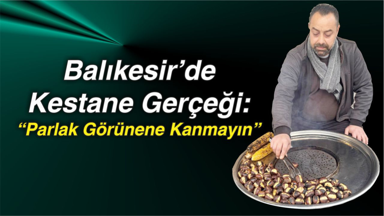Balıkesir’de Kestane Gerçeği: “Parlak Görünene Kanmayın”