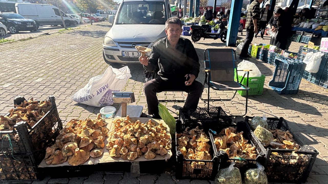 Balıkesir’de2025 Yılının Sonuna Doğru Melki Bolluğu: