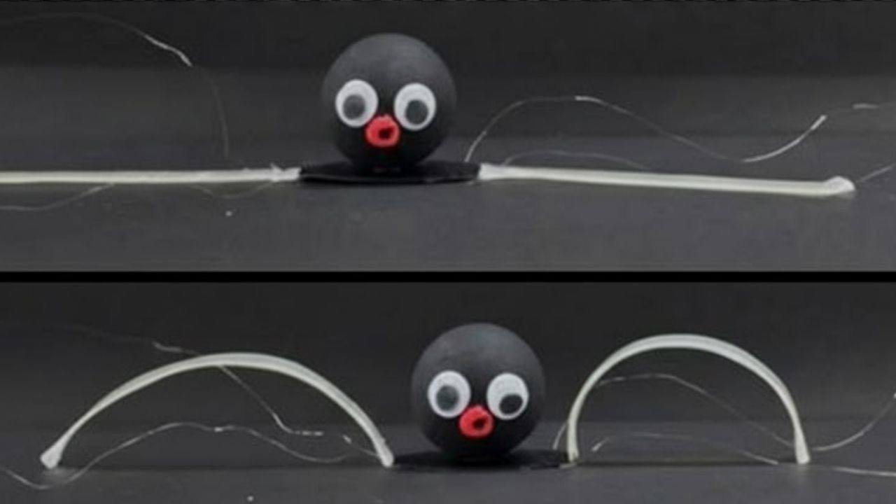 Ahtapot gibi renk değiştiren robot geliştirildi